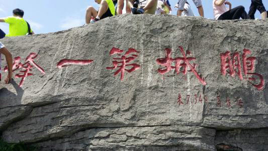 和春风一起攀梧桐