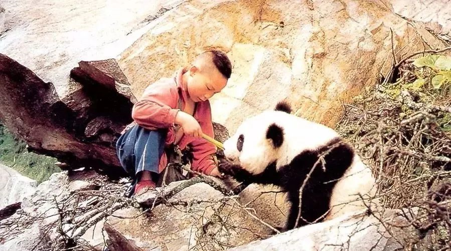 雅安地震发生后，我们该勉力前行